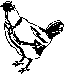Bird & Poultry Motif No 2