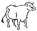 121. Cow