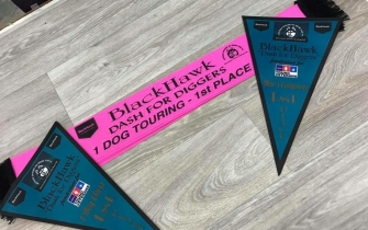 Full colour pennants (and show ribbon)