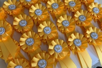 Yellow special order 5cm rosettes